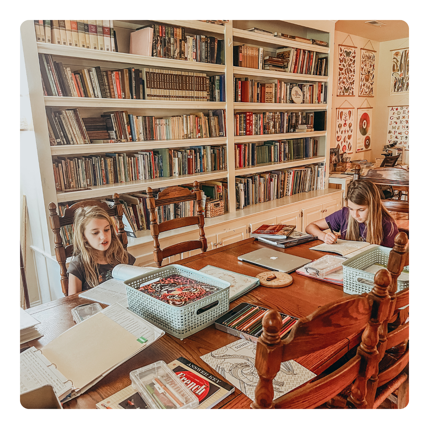 Help My Homeschool Classroom Exploded! How to Organize Better. | Dash ...