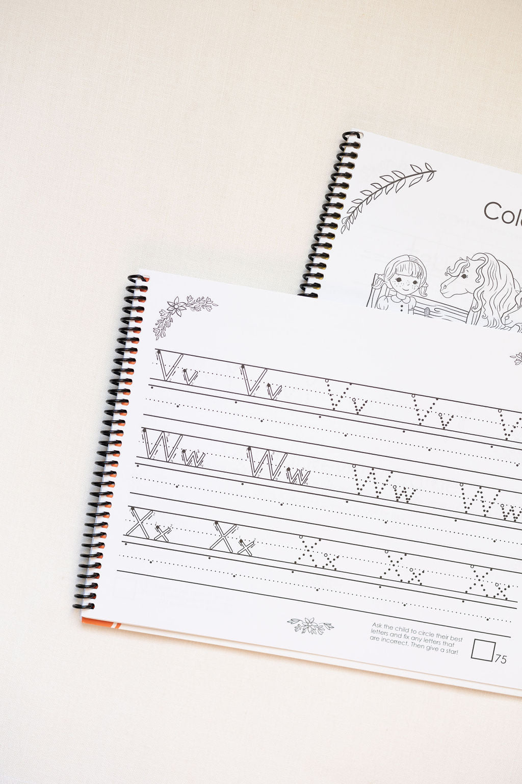 Handwriting Full Program Bundle: Hardcopy