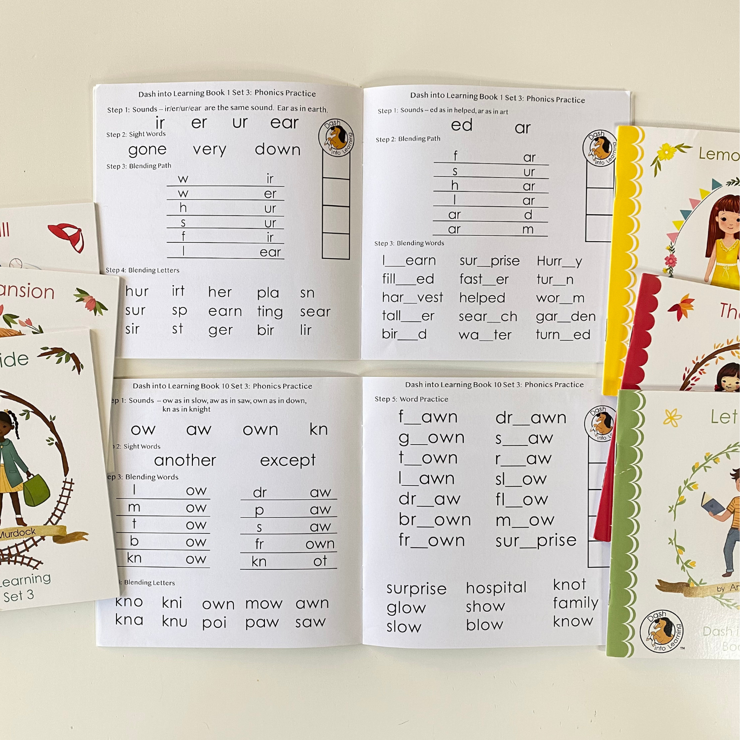 Early Reading Program Set 3 | Dash Into Reading | Dash Into Learning