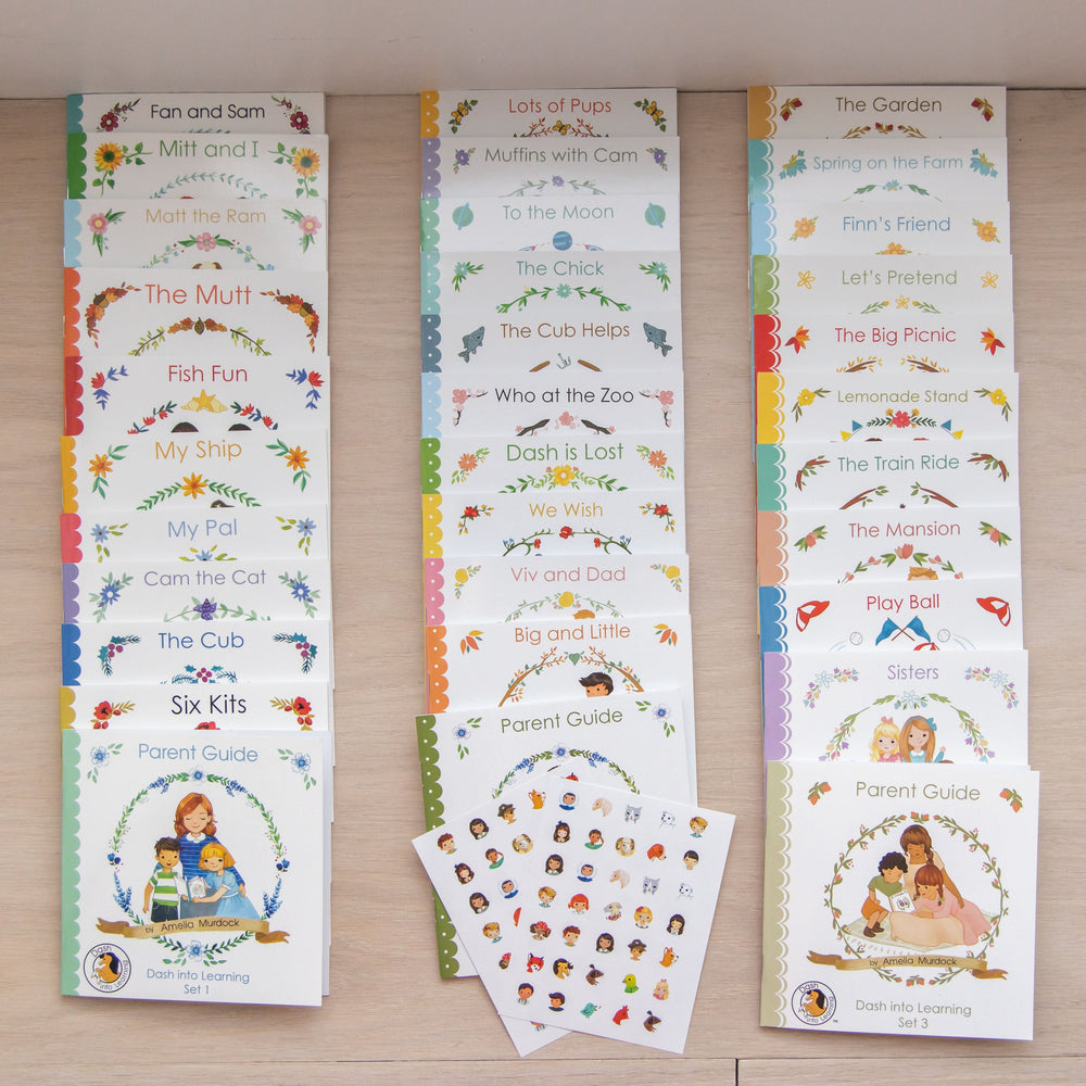 Best Homeschool Early Reading Programs | Dash Into Reading