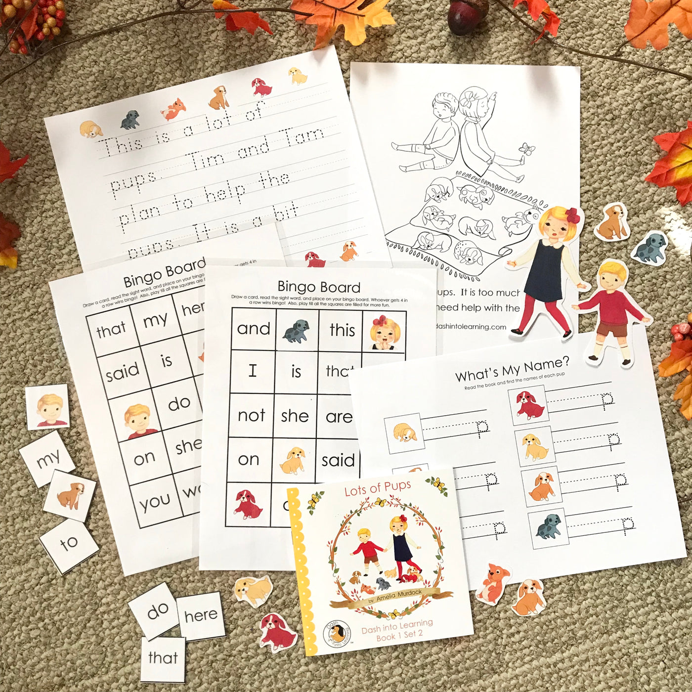 Dash into Learning Early Phonetic Readers: Activity Packs [Set 2]